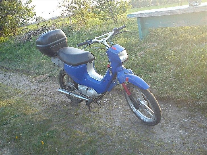 Honda Wallaroo billede 1