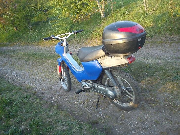 Honda Wallaroo billede 2