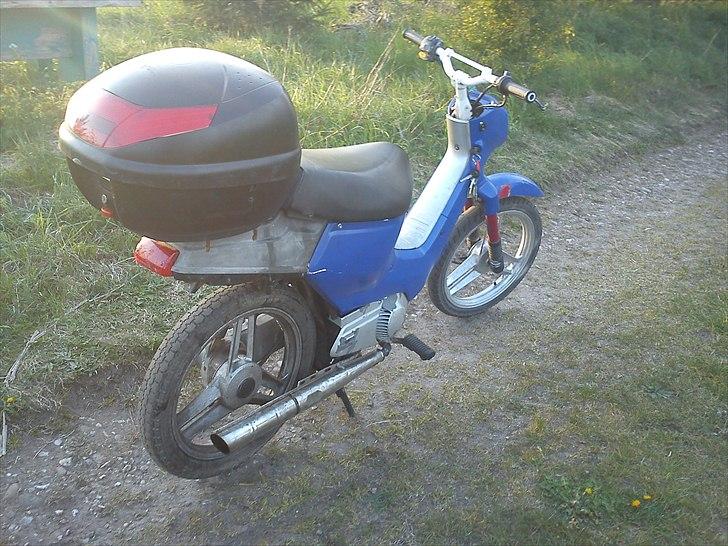 Honda Wallaroo billede 3