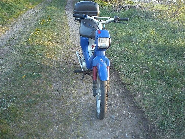 Honda Wallaroo billede 7