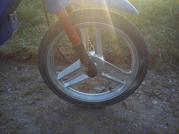 Honda Wallaroo billede 8