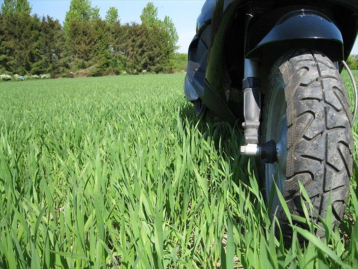 Peugeot Vivacity billede 6