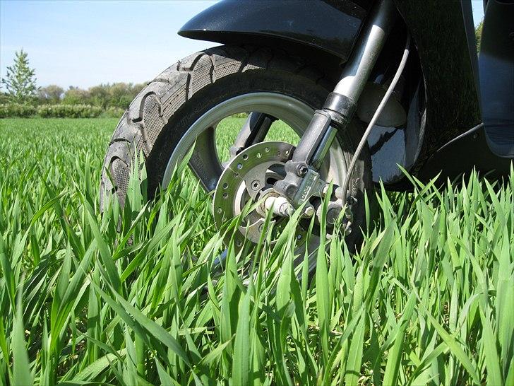 Peugeot Vivacity billede 10