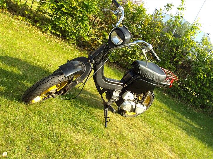 Suzuki Fz50 billede 1