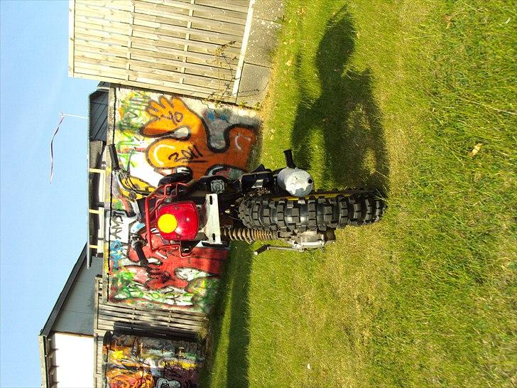 Suzuki Fz50 billede 5