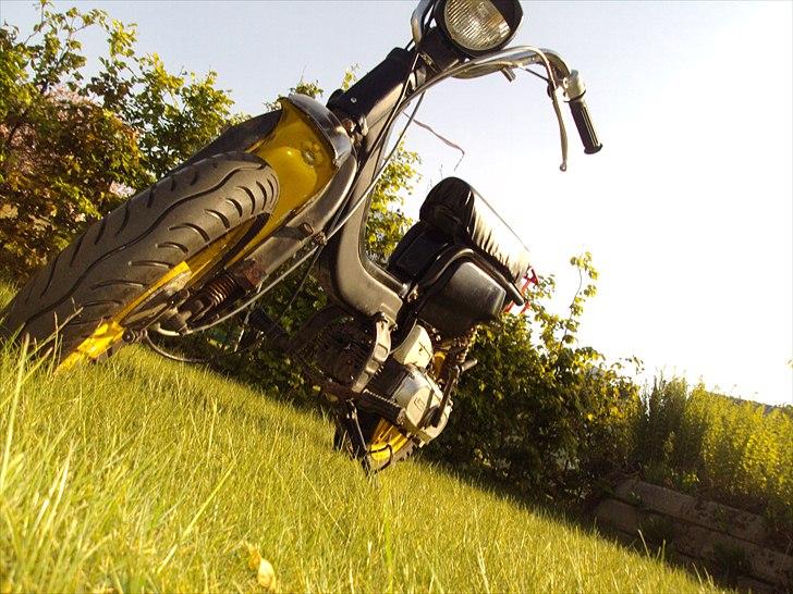 Suzuki Fz50 billede 10