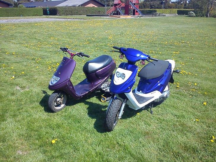 PGO Hot 50 billede 4