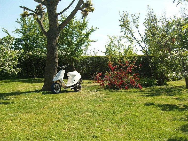 Yamaha Jog Fs "BYTTET" billede 10