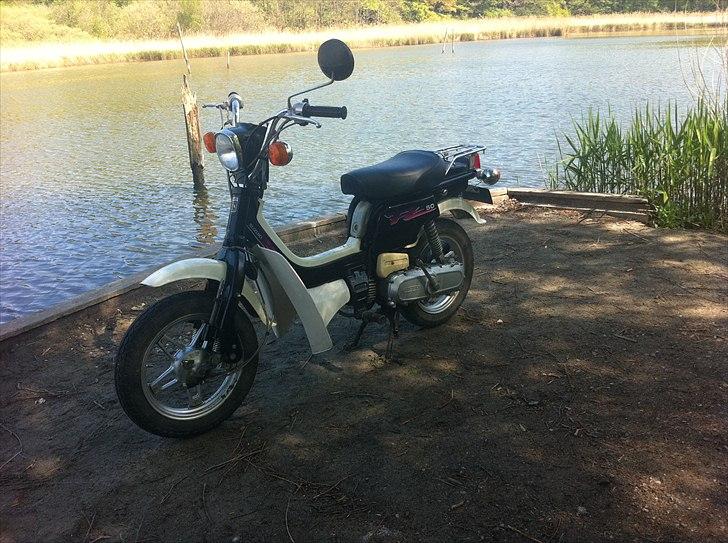 Suzuki Fz50 billede 1