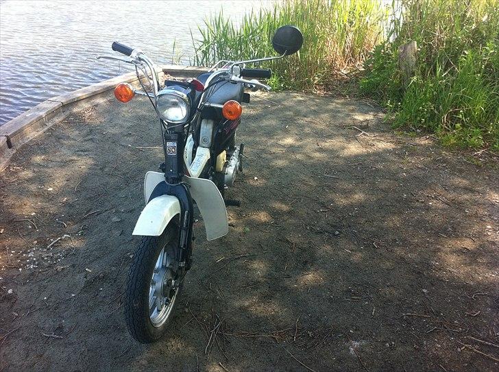 Suzuki Fz50 billede 2