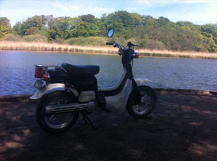 Suzuki Fz50 billede 5