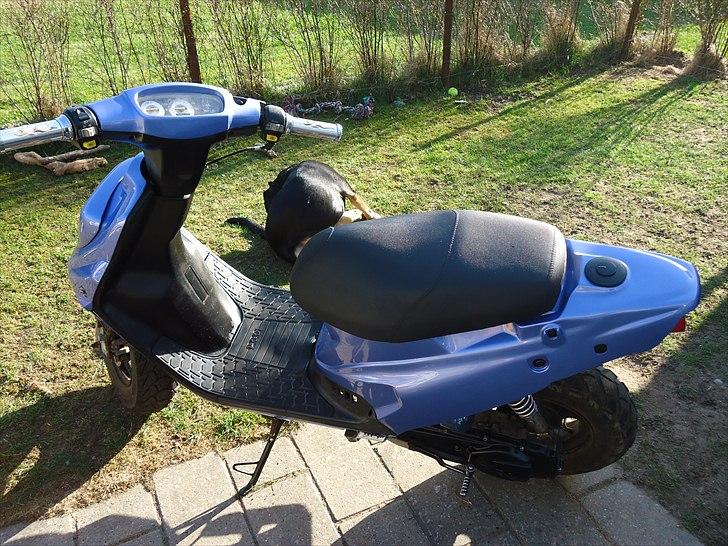 PGO Hot 50 billede 3