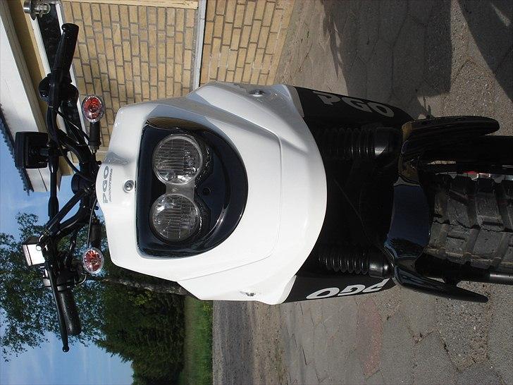 PGO Hot 50 Naked billede 2