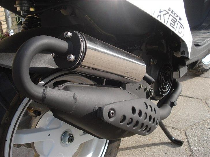 PGO Hot 50 Naked billede 5