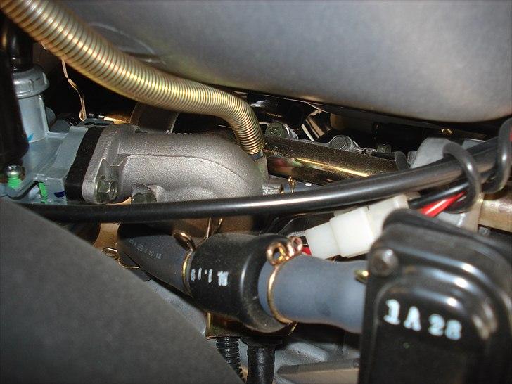 PGO Hot 50 Naked billede 6