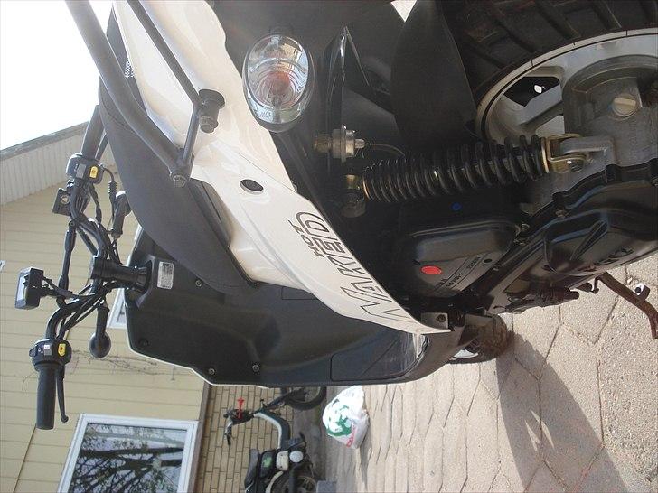 PGO Hot 50 Naked billede 7