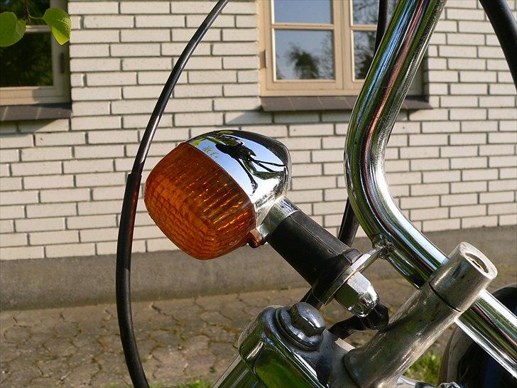 Regal Raptor  - den blinker nærmest til en billede 11