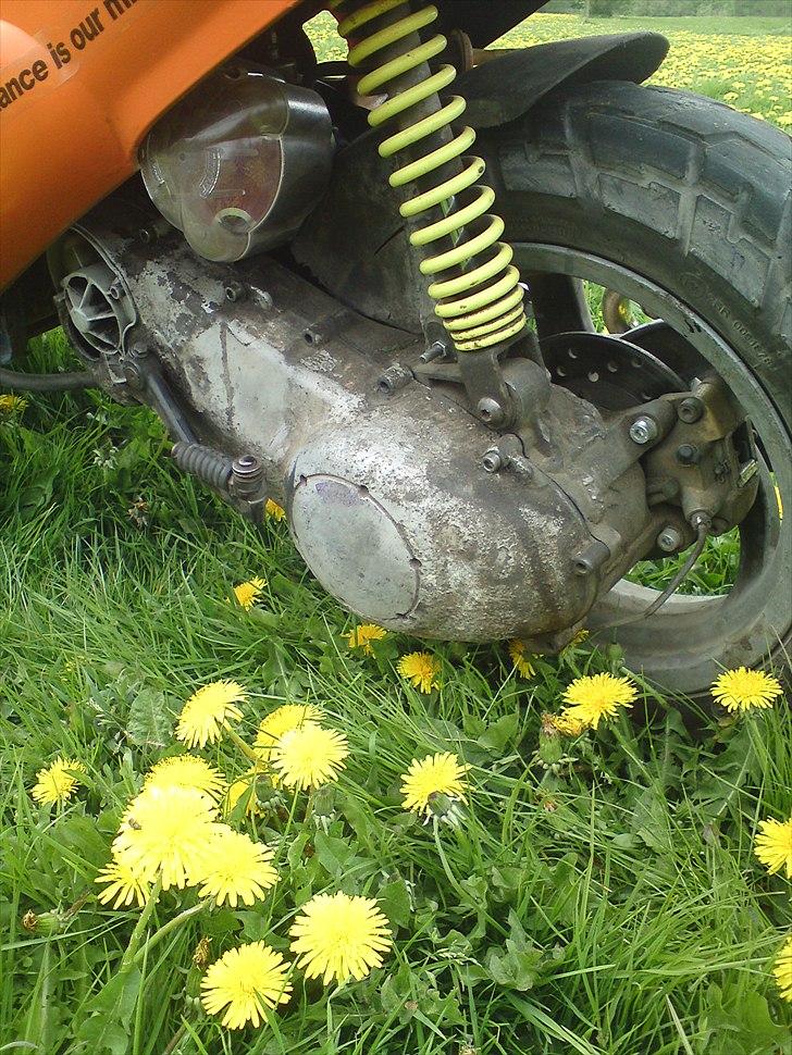 Piaggio zip.runner  billede 10