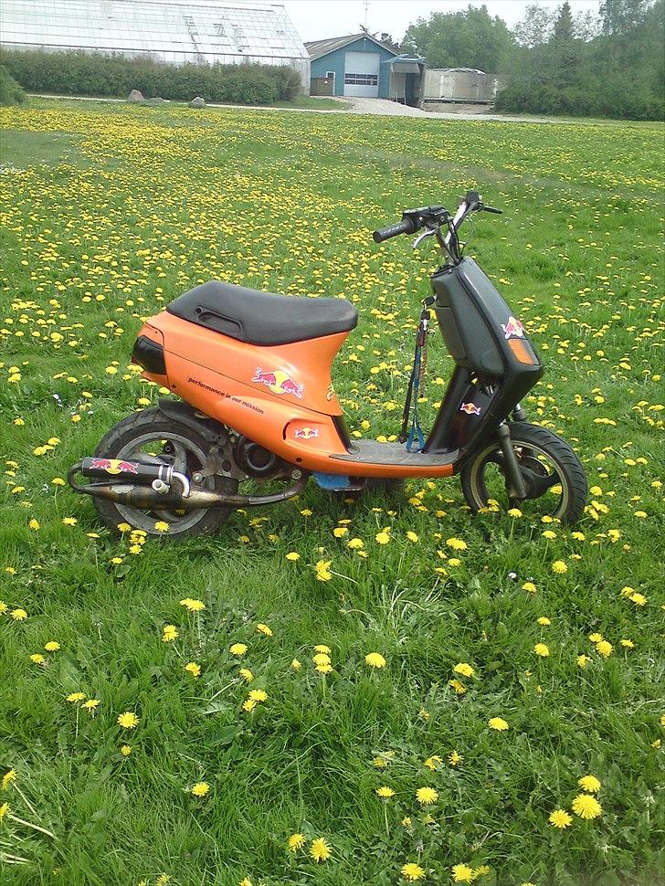 Piaggio zip.runner  billede 14