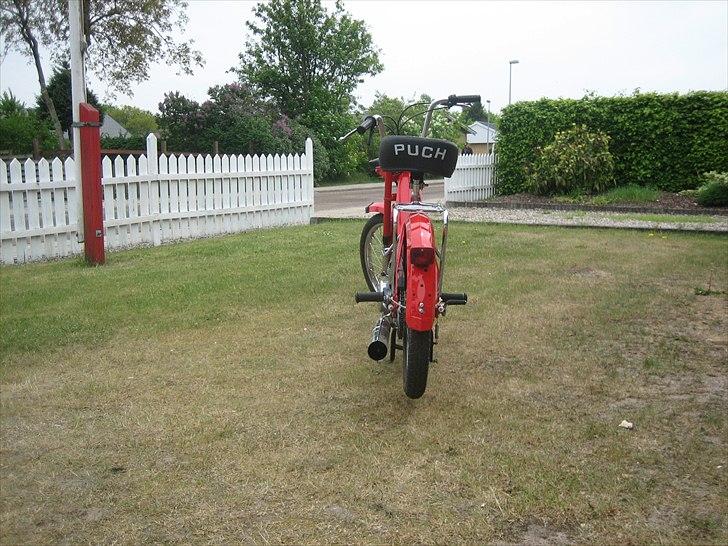 Puch maxi k - good ass! :D billede 4