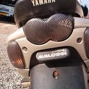 Yamaha neos - team yamser