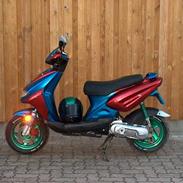 CPI SCHARFF`S VILDDYR