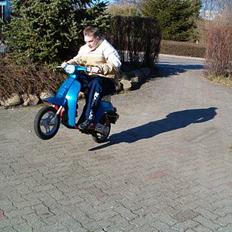 Honda melody