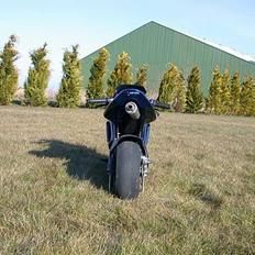 MiniBike Polini Dreambike