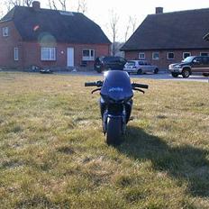 MiniBike Polini Dreambike