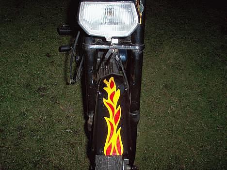 Puch maxi 2 Gear - min kat SKUNK sku os lige ha en tur ombord på puchen!!! billede 1