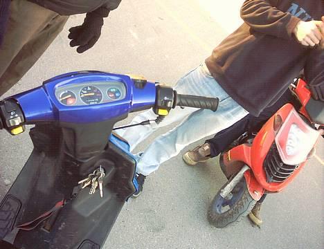 PGO HOT50-2990 Nîvå billede 4