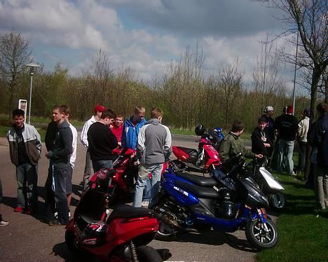 Suzuki Estilete(ferrari)  - god røv....-god weekend! billede 8