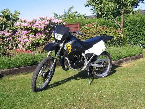 Suzuki Koenig'RMX---solgt billede 2