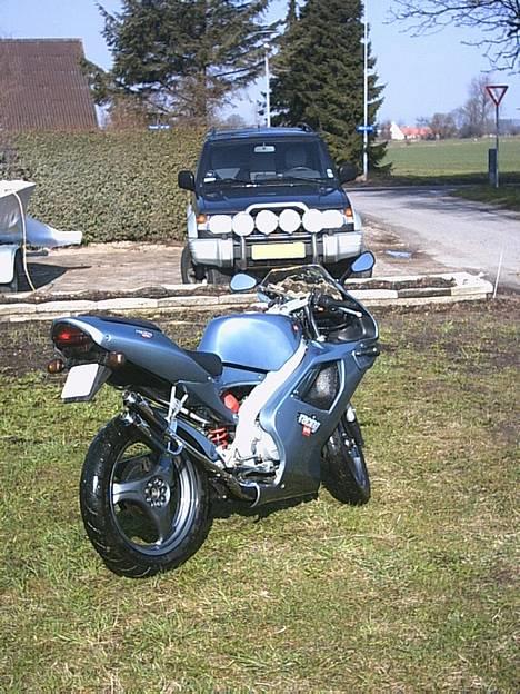 Aprilia RS 50 billede 5