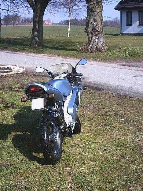 Aprilia RS 50 billede 8