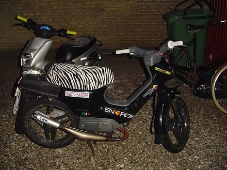 Honda wallaroo **_Til salg_** billede 1