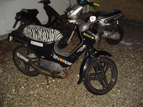 Honda wallaroo **_Til salg_** billede 2