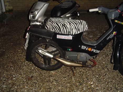 Honda wallaroo **_Til salg_** billede 5