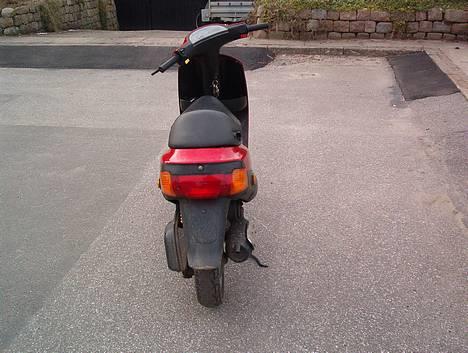 Piaggio Zip - Hvis du var der havde du bollet den i røven! billede 3