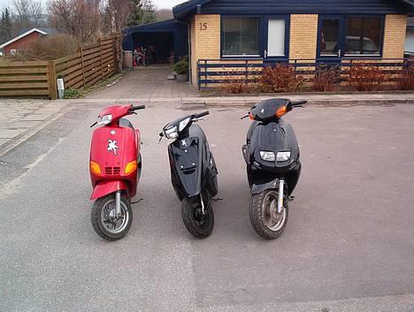 Piaggio Zip - Banden, men mangler bare en jog (også kaldt Fuglebanden) billede 5