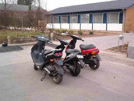 Piaggio Zip - Banden, men mangler bare en jog (også kaldt Fuglebanden) billede 6