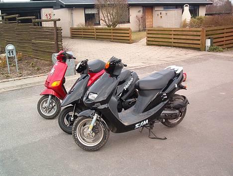 Piaggio Zip - Banden, men mangler bare en jog (også kaldt Fuglebanden) billede 7