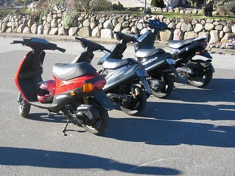 Sym Jet 50 - Banden, vi kalder os for fuglebanden billede 5