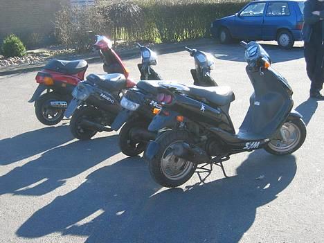 Sym Jet 50 - Banden, vi kalder os for fuglebanden billede 6