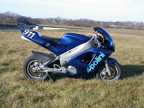 MiniBike Polini Dreambike - det er et rigtig lege tøj billede 1