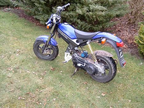 Suzuki street magic billede 8