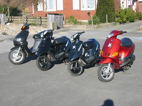 Sym Jet 50 - Banden, vi kalder os for fuglebanden billede 10