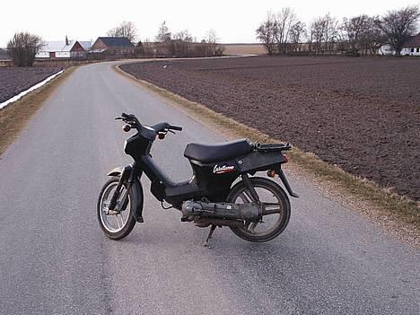 Honda wallaroo billede 5