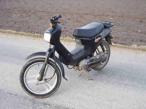 Honda wallaroo billede 6