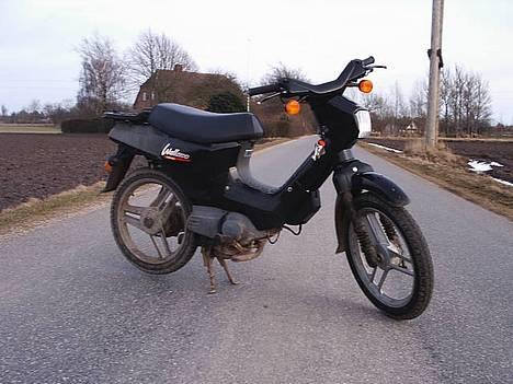 Honda wallaroo billede 8